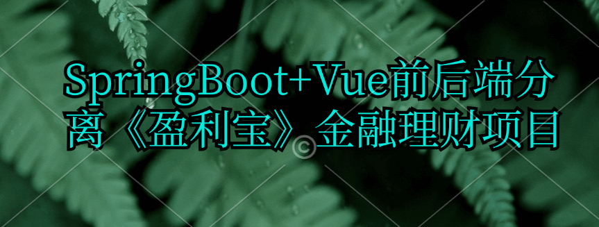 动力节点-SpringBoot+Vue前后端分离《盈利宝》金融理财项目